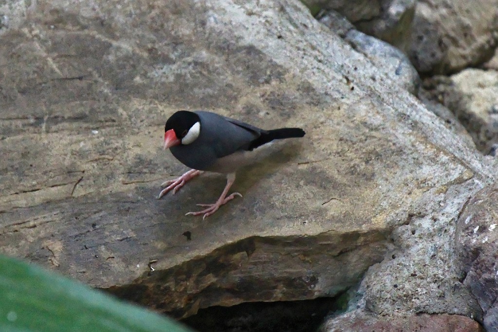 SP0617 (21).jpg